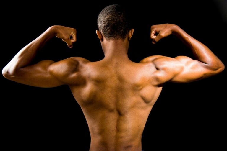 male muscles
